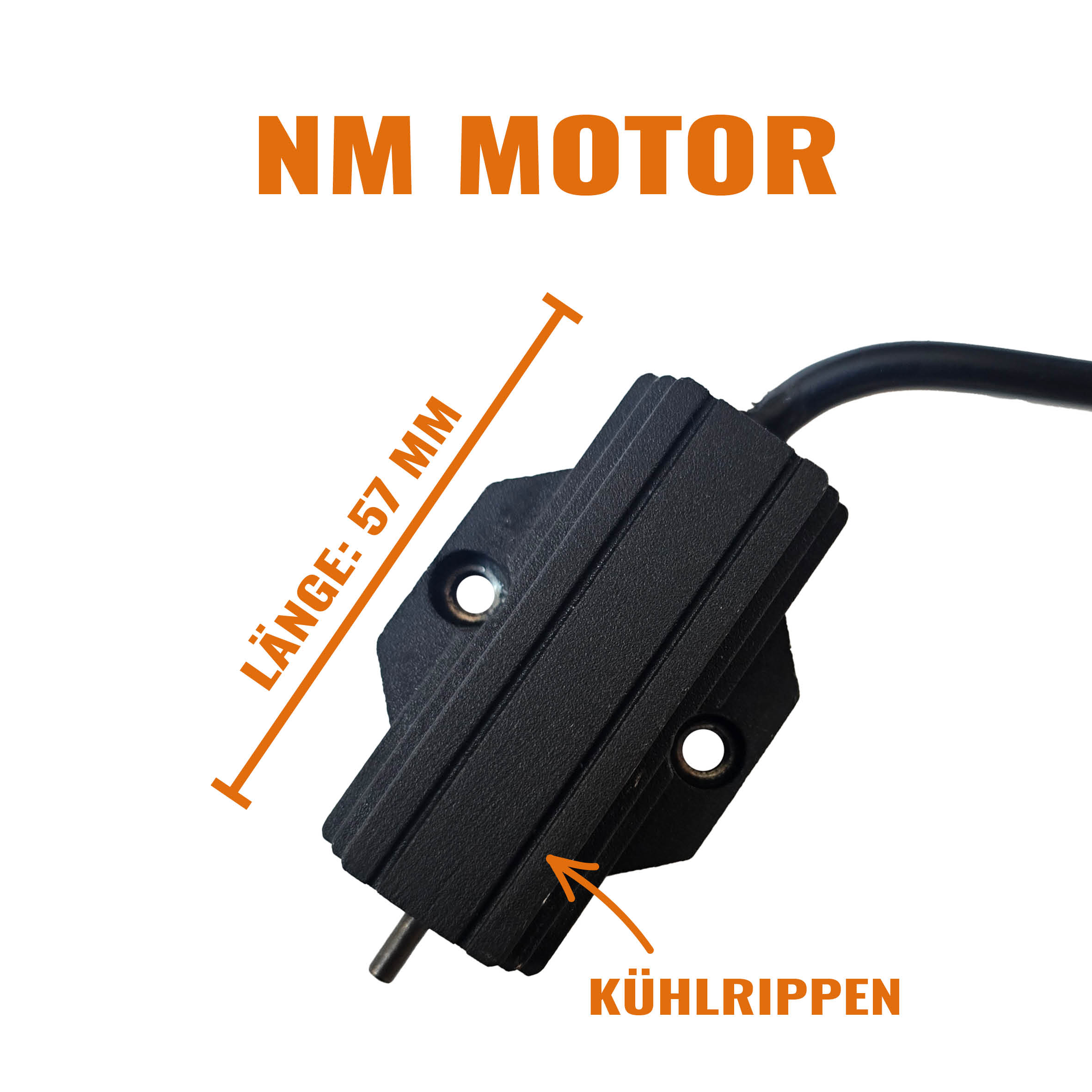 Euro 4 ESE-Elektronik für Kesstech*-Anlagen für Indian*